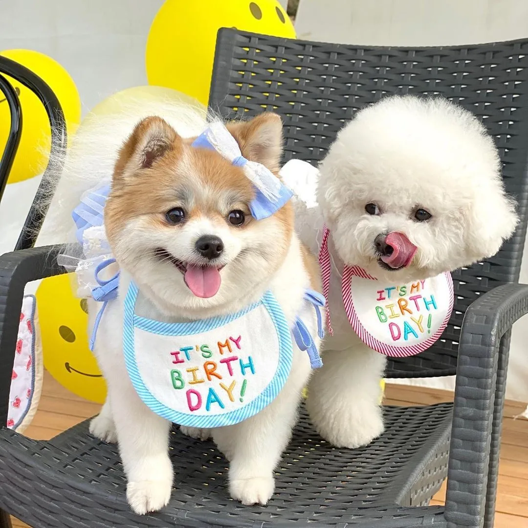 

Happy Birthday Dog Cat Bandana Bibs Scarf Cotton Adjustable Pet Neckerchief Saliva Towel Bib Collar Scarf Waterproof Yorkshire