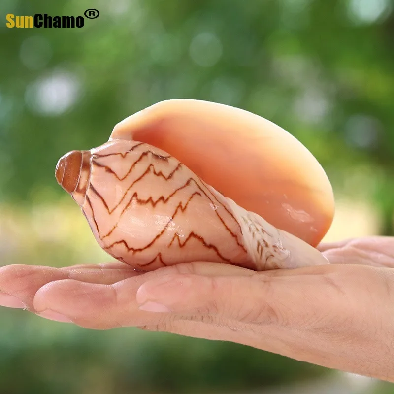 Живописный ракушка микро живописный DIY средиземноморская Дрифтинг Бутылка