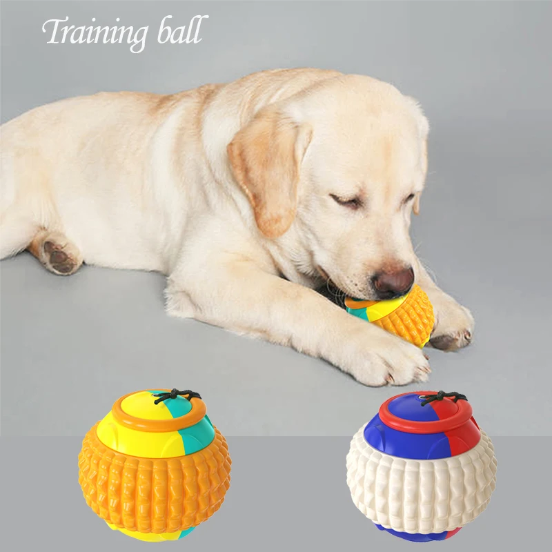 

Pet Dog Chew And Bite Dogs To Train Golfers To Throw Toy Balls Tool Juguetes Para Perro Jouet Chien Dog Supplies Accessories