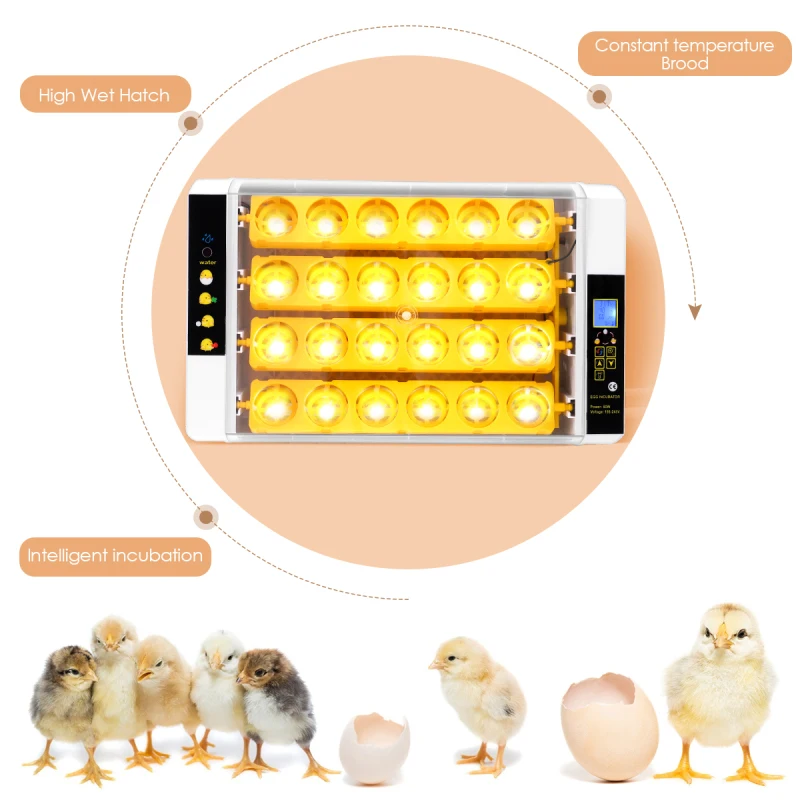 

24 Eggs Hatchery Incubator Brooder Machine Hatchers Chicken Automatic Eggs Incubator Bird Quail Brooder Duck Goose For Farm Home