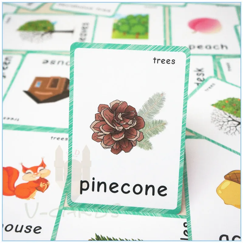 

23pcs English Flashcards For Children Tree Seeds And Fruits Theme Montessori Baby Learning Cards English Teacher Teaching Aids