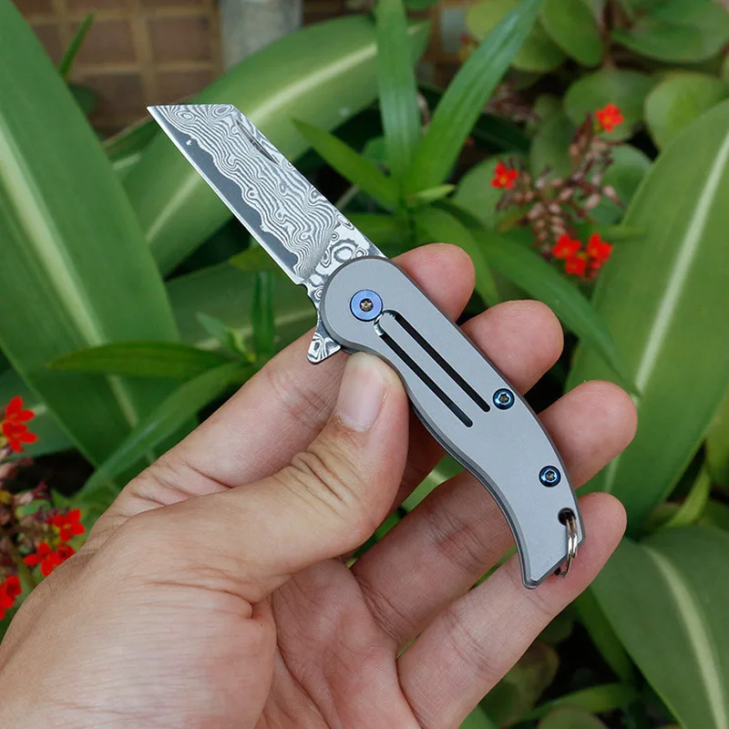 

Dropshipping D2/Damascus Steel Titanium Handle Keychain Mini EDC Portable Folding Knife Pocket Knife Camping Survival knife
