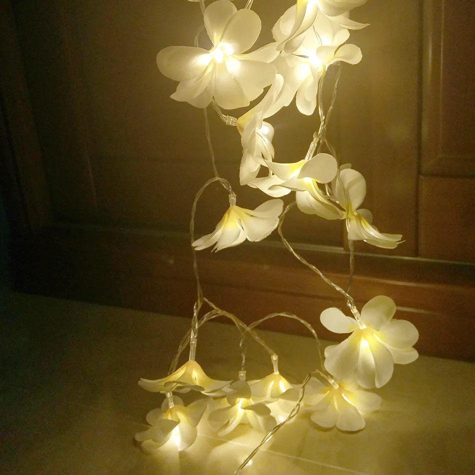 Гирлянда frangipani, 5 метров, 40 светодиодов, светильник-Гирлянда для мероприятий, вечерние украшения, ваза, цветочный светильник, декоративный, новогодний струнный светильник