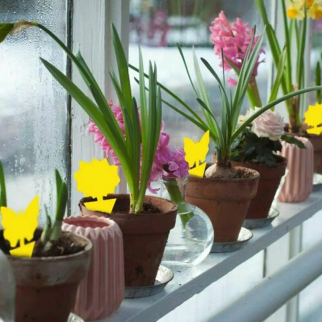 

36PCS Fly Traps Sticker Aphids Bug Catcher Fungus Gnats Gnat Insect Kit