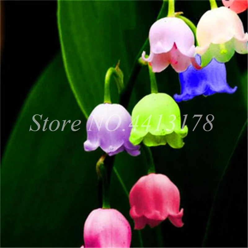 100 шт редкий колокольчик Орхидея Декор искусственные кашпо| |