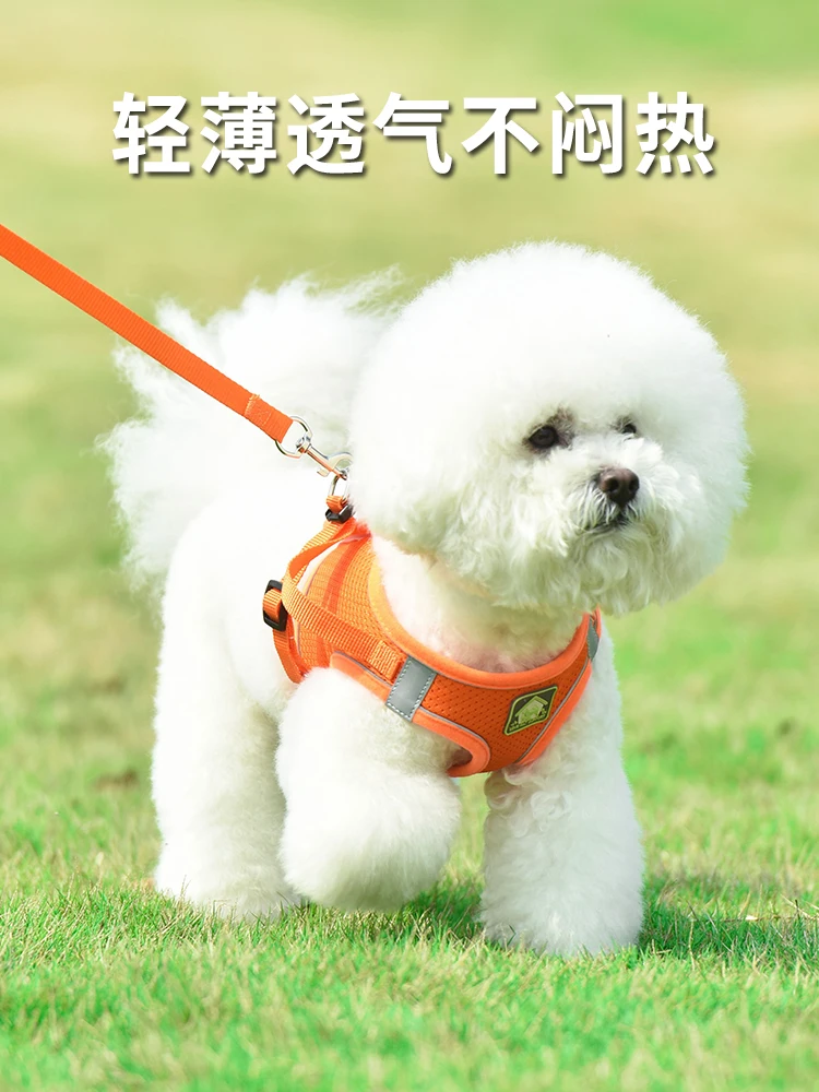 

Vest dog traction rope Teddy small dog Bichon Pomeranian chest strap puppy puppies walking dog rope dog chain