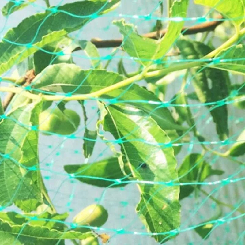 Зеленая Сетка для защиты от птиц огород Сад полиэтилен экструдированный