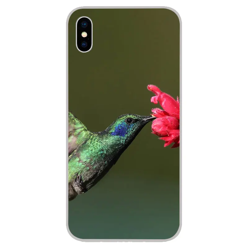 Силиконовые мягкие чехлы из ТПУ Колибри для iPhone 11 Pro XS Max X XR 8 7 6S Plus 5s SE 4S