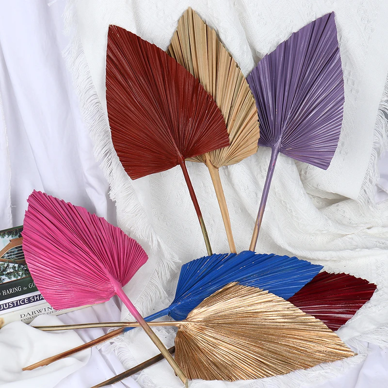 

Palm Fan Leaf Dried Flower Palm Leaf Window Reception Party Art Wall Decorat