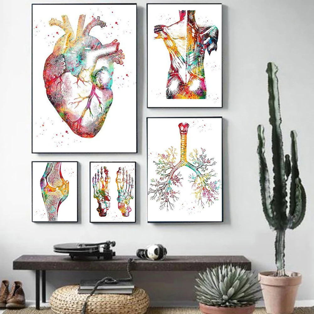 

Human Anatomy Muscles System Heart Coloful Wall Art Canvas Painting Posters and Body Abstract Skeleton Pictures Home Room Decor