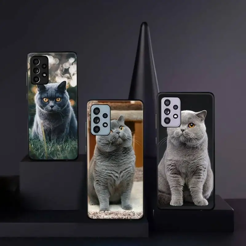 

British Shorthair cat cute animal Phone Case For Samsung galaxy A S note 10 12 20 32 40 50 51 52 70 71 72 21 fe s ultra plus