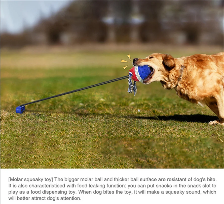 

Multifunction Pet Supplies Dog Molar Tug-of-War Dog Walking Toy Outdoor Drawstring Ball Sounding Dog Toy Elastic Pull Rope Ball