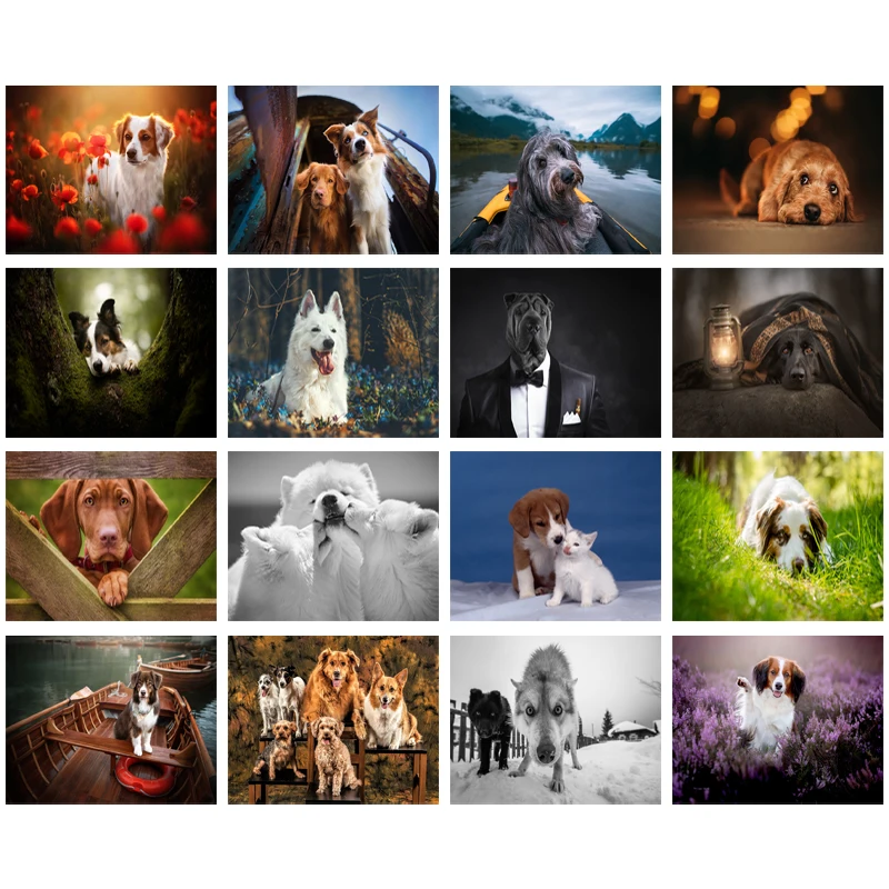 

Diy Diamond Decoration Painting animal Border and Gentleman pug Square Diamond Round Diamond Customizable Wall Art Decoration