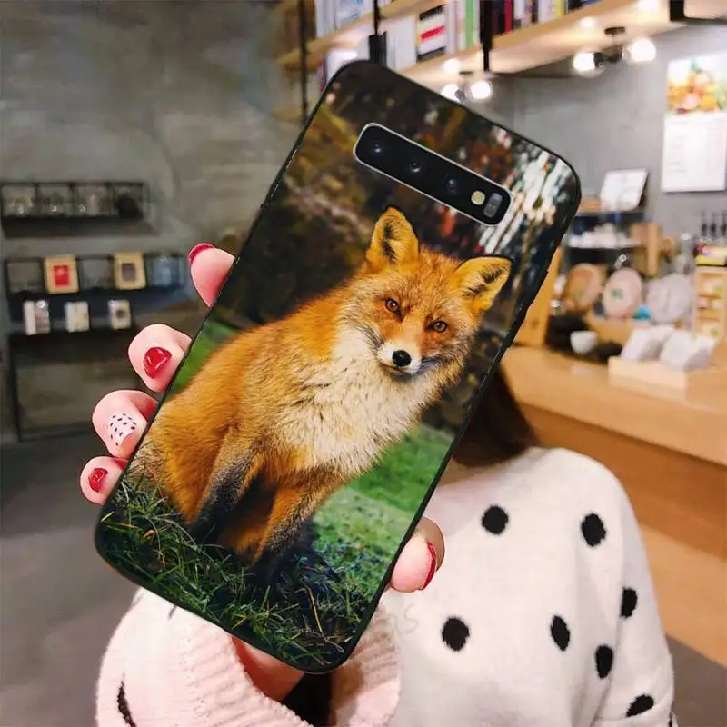 

Fox cute animal Phone Case For Samsung Galaxy S8 S9 S10 Plus Lite S10E Note 3 4 5 6 7 8 9 10 Pro cover