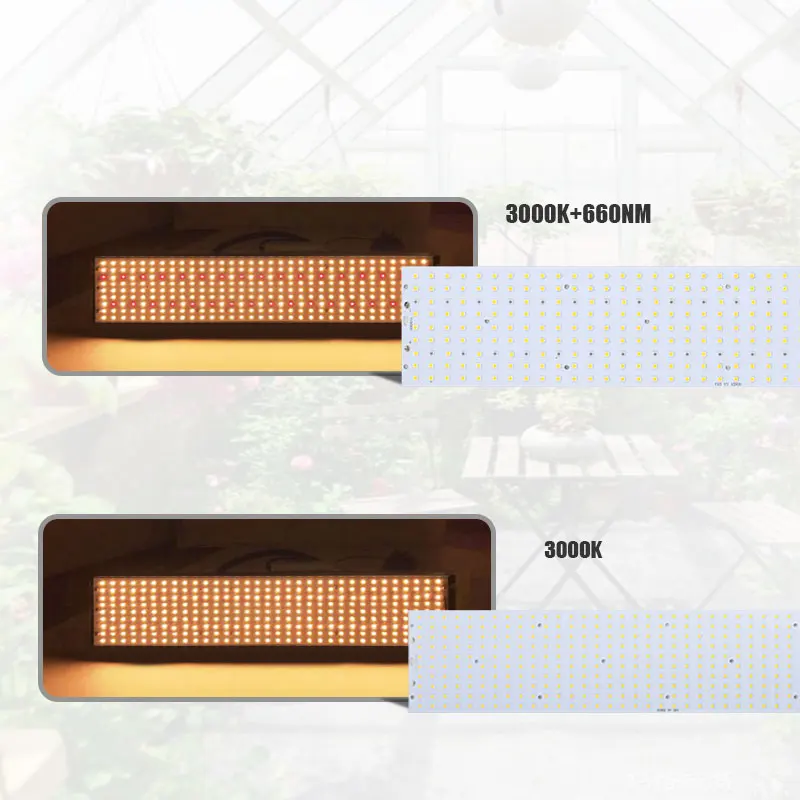 Светодиодный полный спектр 100 Вт CREE CXB3590 cob светодиодный светильник для выращивания DIY модуль полный спектр светодиодный светильник для выращивания в помещении Идеальный держатель