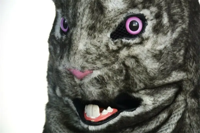 Костюм-талисман с изображением белого кролика из мультфильма | Тематическая