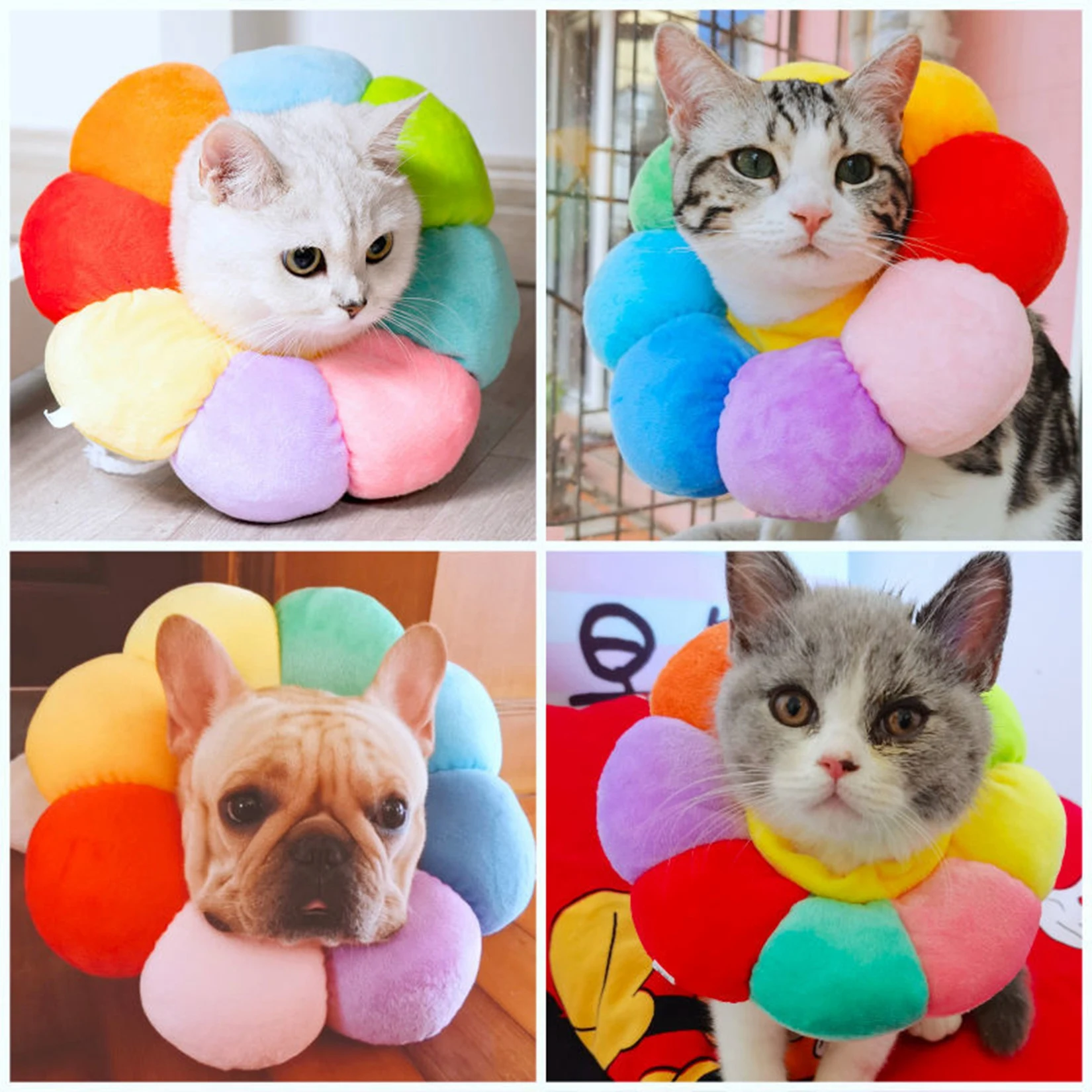 

Cat Collar Pet Protective Collars for Dogs Cats Wound Healing Protection Elizabethan Collar Pet Cat Anti-bite Recovery Circle