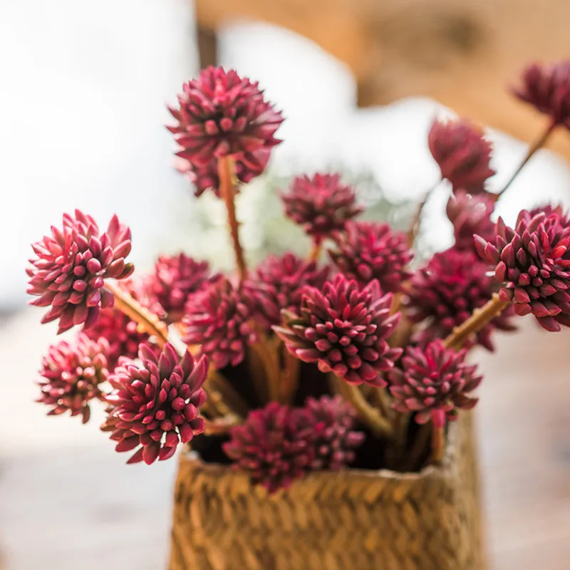 Искусственные суккуленты Декор для дома многоголовый диантус декоративные