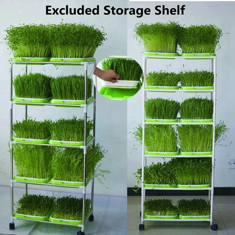 

10Sets Double-Layer Seed Germination Seedling Tray Hydroponic Basket Flower Plant Sprouting Tray