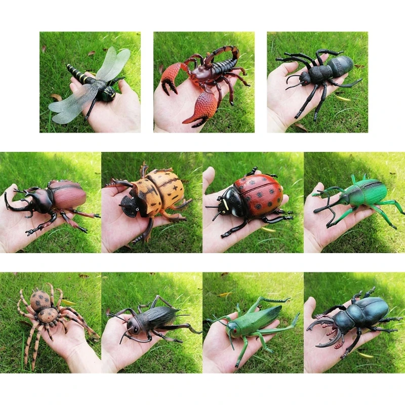 

Simulation Wildlife Model Ornament Realistic Insect Figure Child Educational Toy
