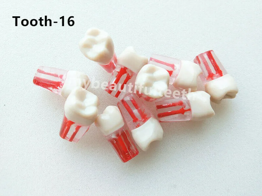 5 шт./лот стоматологические эндокорневые пульпы для корневых каналов