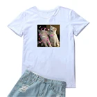 Женская футболка с надписью My Love Support You, футболка с принтом милых кошек, женские белые футболки с круглым вырезом, женские милые топы, женские футболки