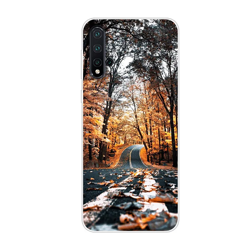 Мягкий ТПУ чехол для телефона huawei Nova5 сумки Pro pro Capa |
