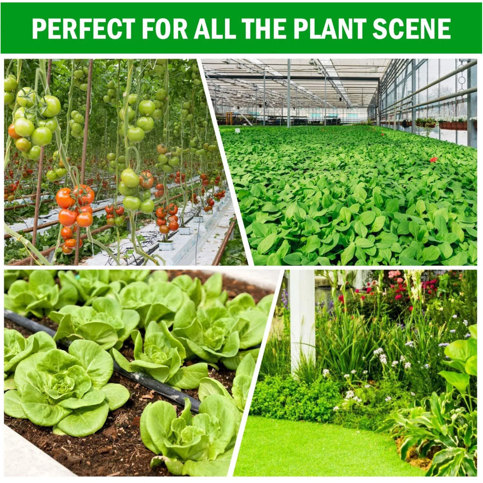 

Flowers Peat Pots Plant Markers Seeds Grow Tray Gardening Seedling Tray 3-inch Peat Pots 10-tray Peat Seed Tray Seed Starter Kit