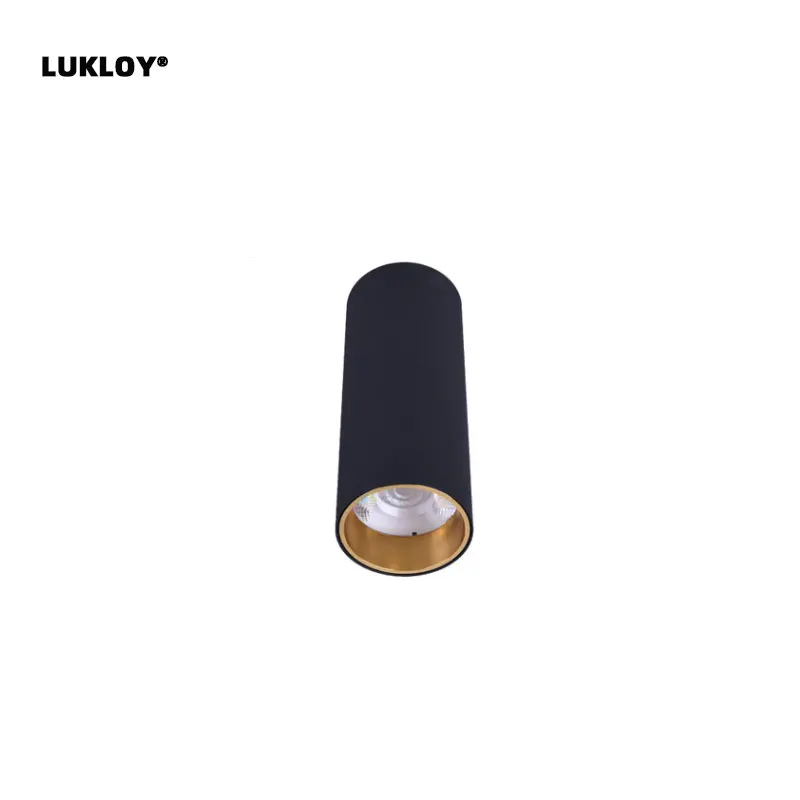 

LukLoy Modern LED Flush Light Ceiling Lamp for Living Room Cafe Garment Shop Aisle Corridor Wall Decoration Spot Light Downlight