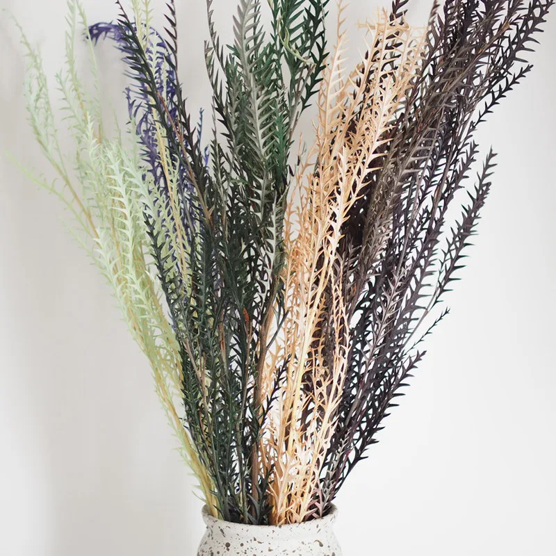 

Natural Eternal Dried Flower Preserved Fiddlehead Fresh Alpine Fern Leaf For Home Wedding Decoration Accessories Props Ornaments
