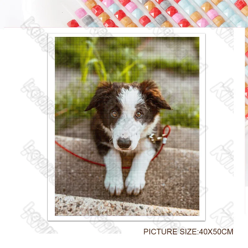 

Diy Diamond Decoration Painting Animal Cute Dog Beautiful Puppy Square Diamond Round Diamond Customizable Wall Art Decoration
