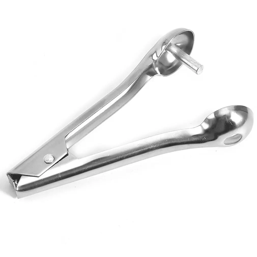 

Cherry Olive Pitter Tool Cherry Pitter Remover Fruit Pit Core Remover With Space Saving Lock Design For Home Kitchen