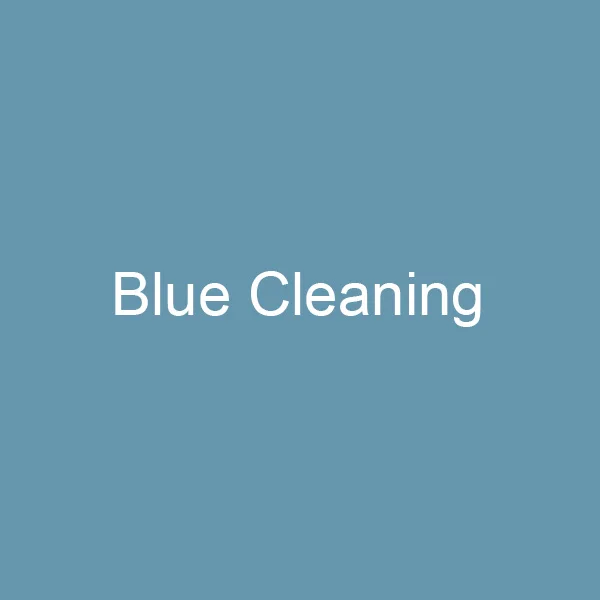 Blue Cleaning 1 шт/2 шт многоразовые ватные палочки для чистки ушей Косметические Силиконовые палочки для чистки макияжа и касания дропшиппинг - Цвет: Blue Cleaning