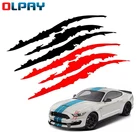 Наклейка с когтями, 40x12 см