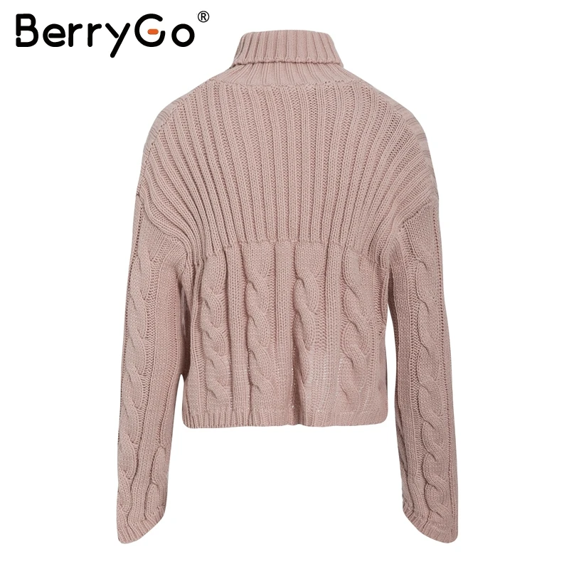 BerryGo водолазка вязаный свитер для женщин с длинным рукавом Осень Зима Белые