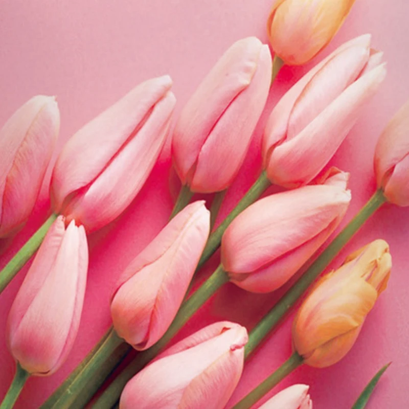 

Rose Flower Butterfly Pillowcover Home Decoration Sofa Pillow Office Car Seat Back Cushion Cover