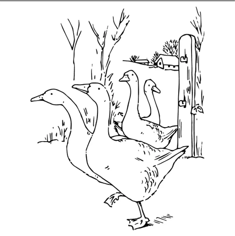 Прозрачные штампы в виде животных 10x10 для скрапбукинга сделай сам трафарет