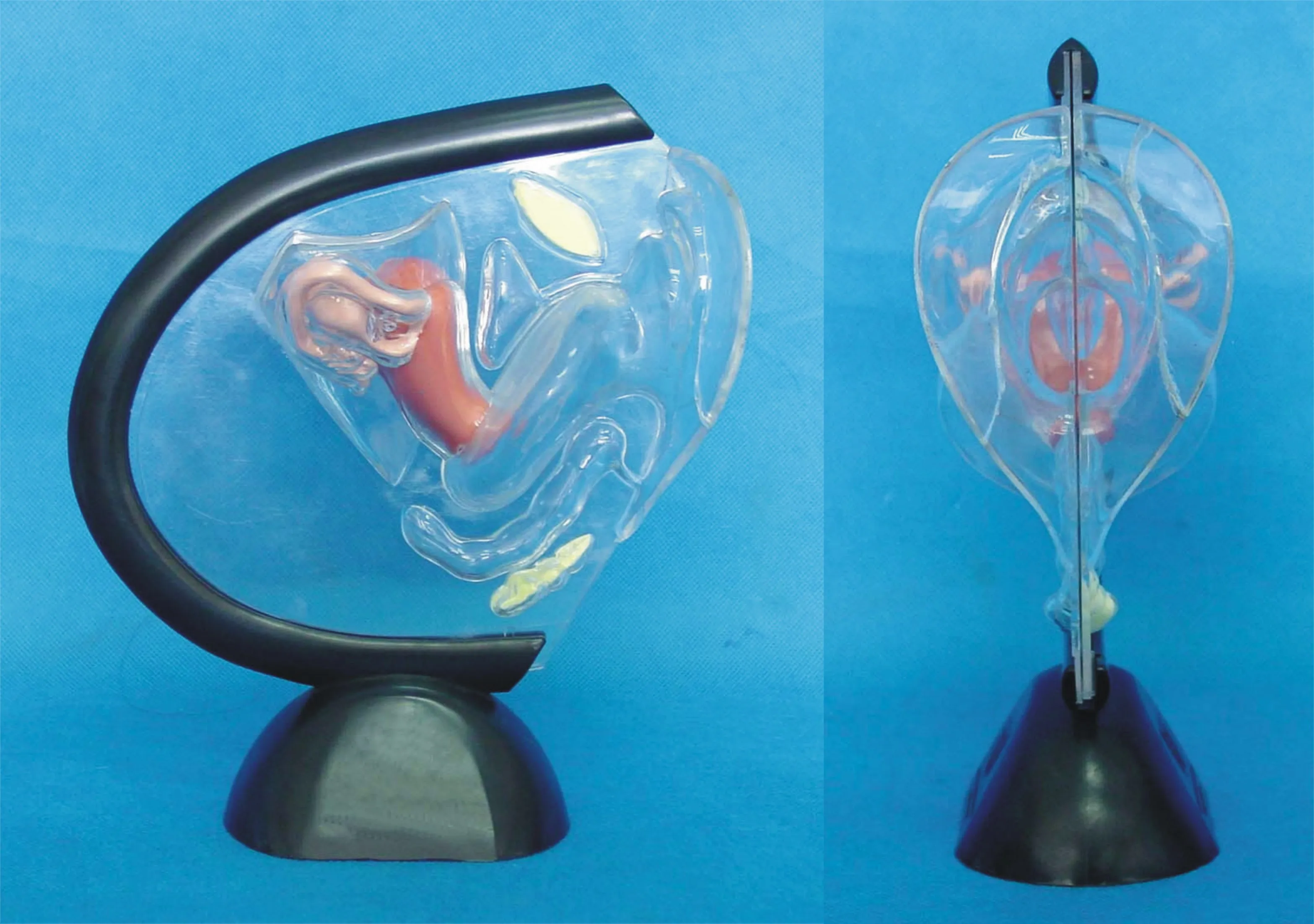 

Educational Equipment & Supplies