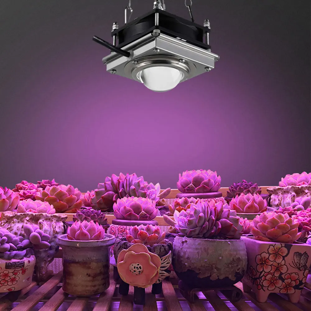 Indoor 50W Cob Full Spectrum Led Plant Grow Light Growing Phyto Lamp For Veg Flower Hydroponic Greenhouse | Лампы и освещение