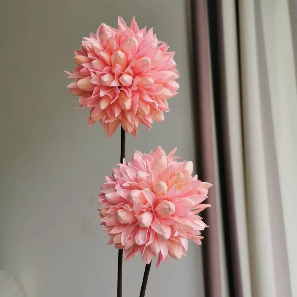 4 шт. высушенные ветви растений искусственные натуральные растения цветок для