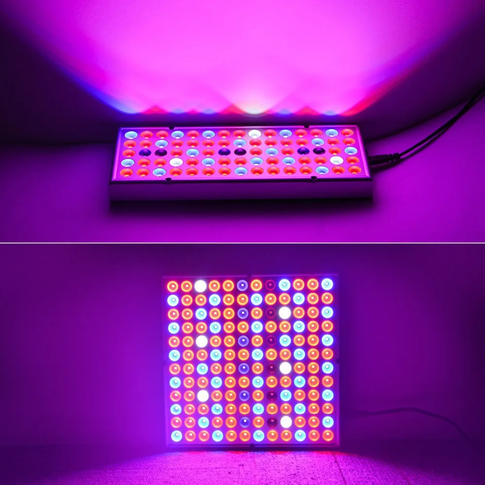 

LED Plant Growth Lamp Full Spectrum Indoor Supplementary Led Growth Full Spectrum Phyto Daylight Lamp