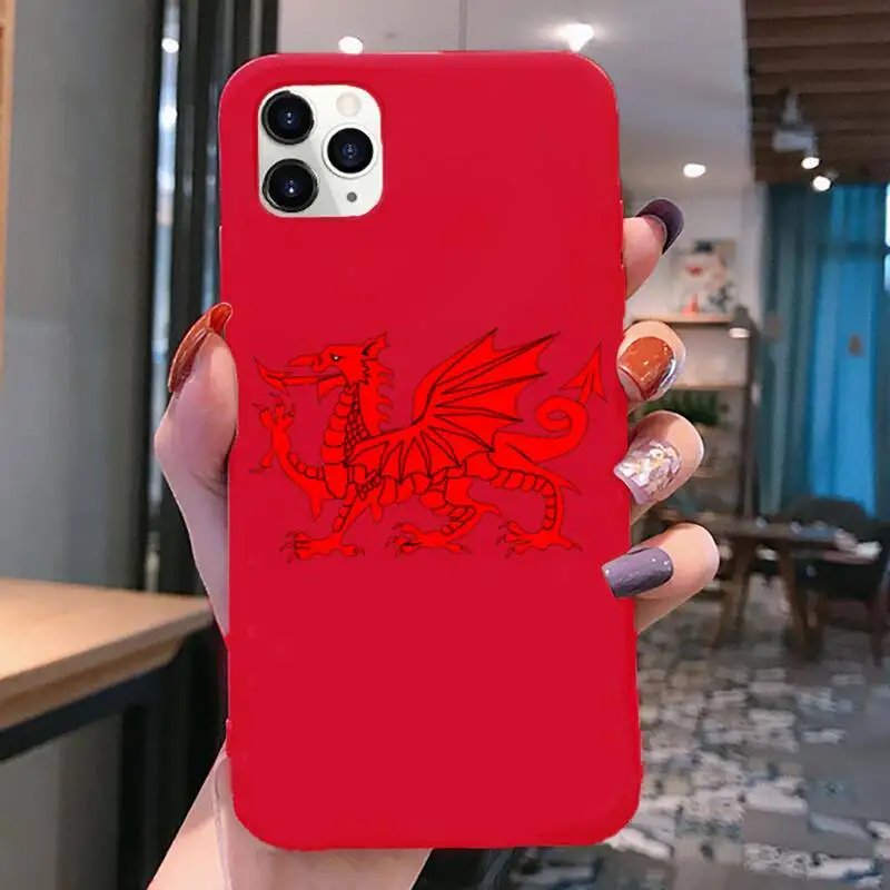 lucky chinese dragon phone case for iphone 12 pro max mini 11 pro xs max 8 7 6 6s plus x 5s se 2020 xr red case free global shipping