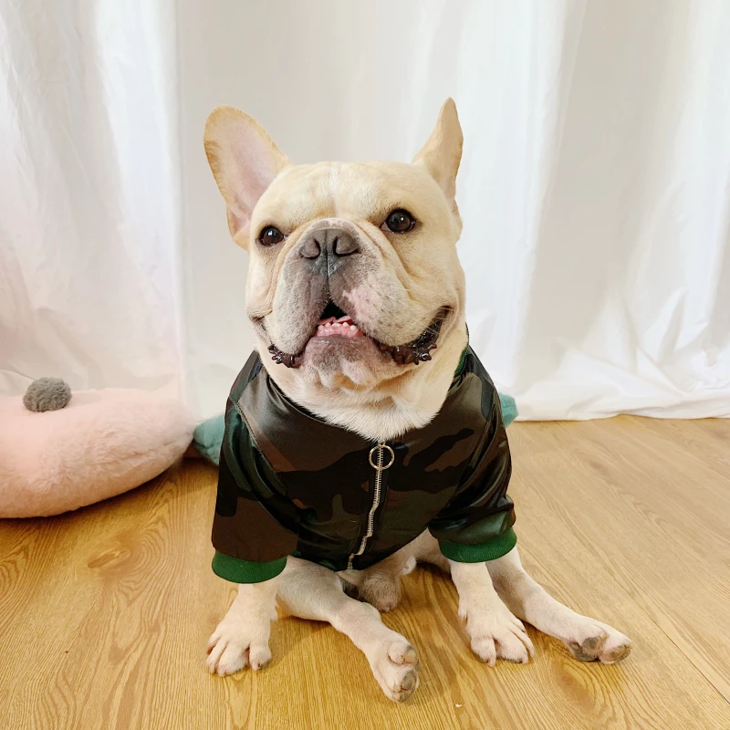 Одежда для мопса зимнее пальто французского бульдога куртка наряд Прямая
