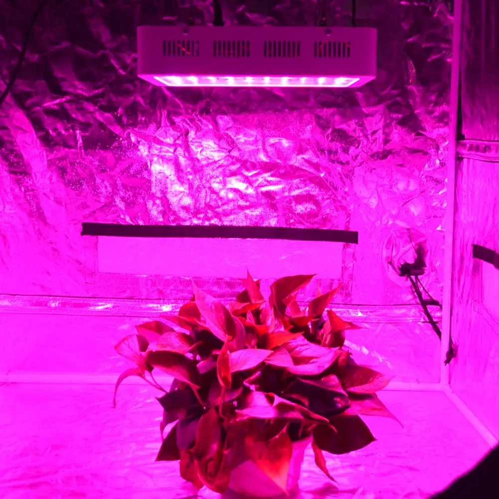 Goedkoop 1000W High Power Led Licht Groeien Volledige Spectrum Phyto Lamp Growbox Licht Voor Planten Bloem Hydro Opknoping Kit