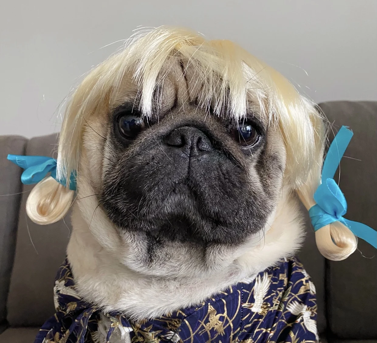 

Cute Pet Dog Cat Cosplay Decorative Wig Transfiguration Costume Wig For Large Dogs Party Decoration Funny Pet Accessories ZA448