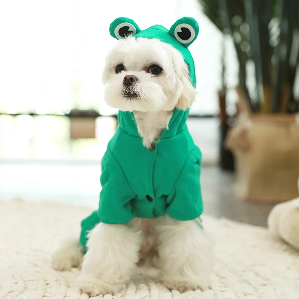 

Женская модель для маленьких собак, пудель, пальто с капюшоном чихуахуа, утепленная одежда для домашних животных, милый костюм лягушки