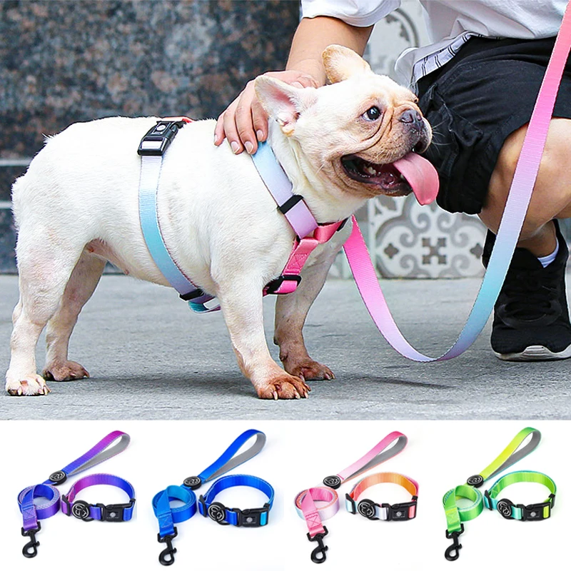 Designer Dog Collar Leash Harness Fashion Gradient Rainbow Color Pet Products Chain Small Dog Medium Large Fitting Spring Summer
