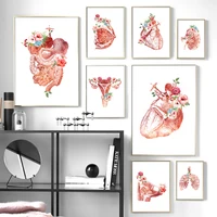 anatomy poster skeleton organ flower breast uterus kidney liver wall art canvas painting for doctor office medical students gift