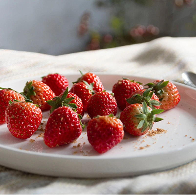 Плоская тарелка белая керамическая твердая искусственная десертная пицца