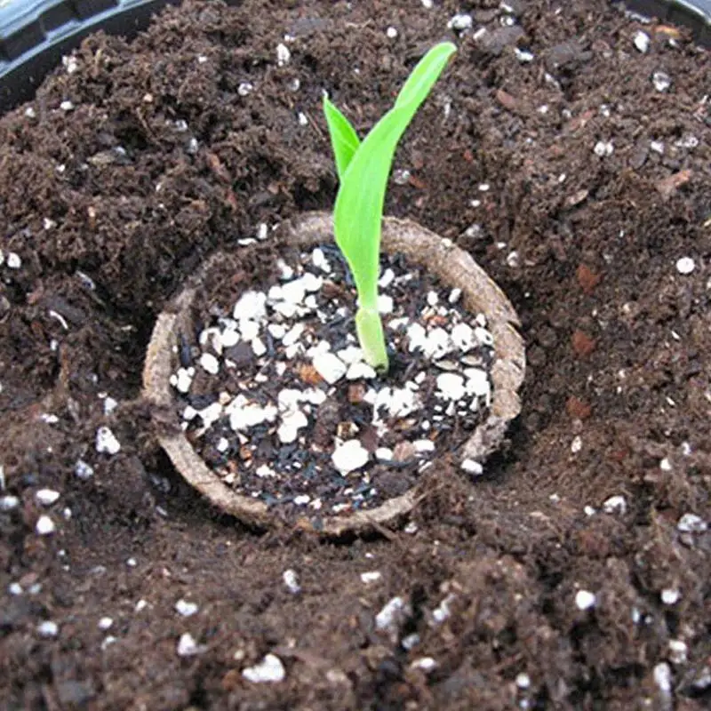 Круглый горшок для цветов и растений 10 шт. биоразлагаемый торфяной из целлюлозы